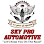 Sky Pro Automotive logo