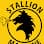 Stallion Machine Shop LLC logo