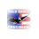 Bald Eagle Precision LLC logo